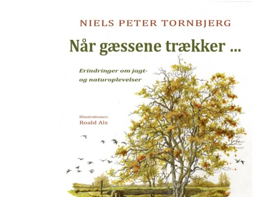 Når Gæssene Trækker | Niels Peter Tornbjerg | Språk: Dansk