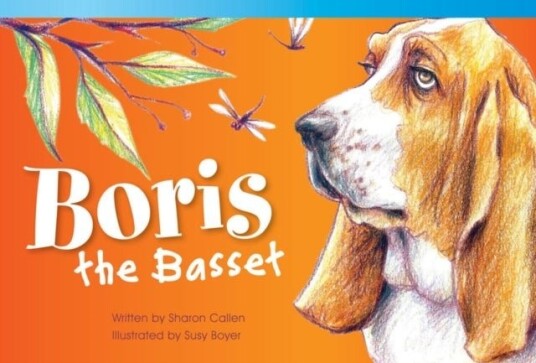 Boris the Basset Boris the Basset
