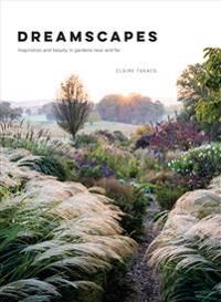 Dreamscapes Av Claire Takacs Dreamscapes Av Claire Takacs