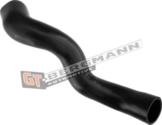 GT BERGMANN GT52 315 Ladeluftslange