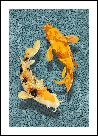 Koi Plakat Plakat / 40x50cm