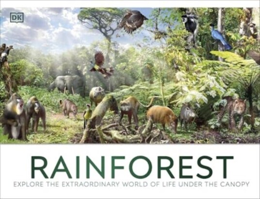 Rainforest Rainforest