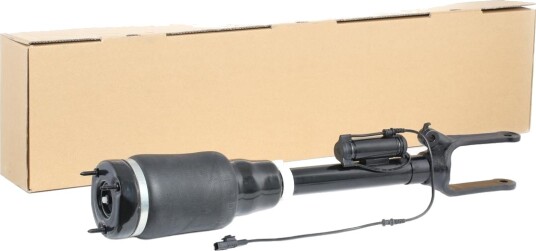 Luftdempere RIDEX 4118A0003