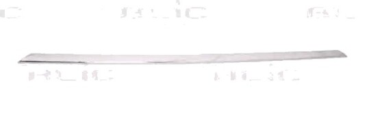 Pynte- / vernelist, støtfanger BLIC 5513-00-0063926P
