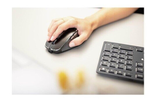 Cherry DW 9500 SLIM - Tastatur & Mussett - Engelsk - Gr