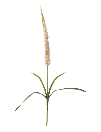 Bloomingville Foxtail Stem Pink H73CM