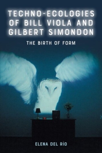 Techno Ecologies of Bill Viola and Gilbert Simondon