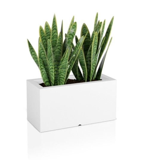 Design blomsterpotte MONUMO LUNGO Hvit
