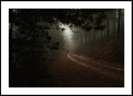 Misty Forest Path Plakat / 100x150