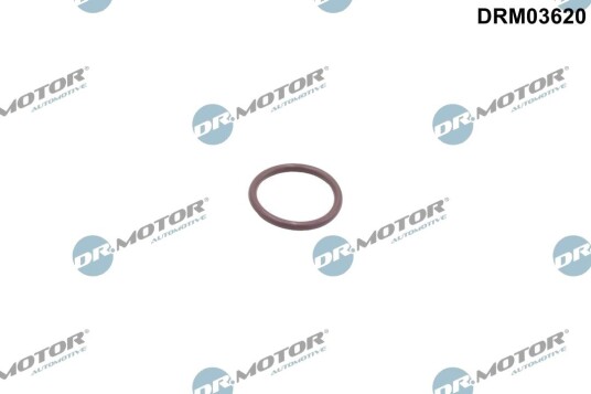 Tetningsring, laseluftslange DR.MOTOR AUTOMOTIVE DRM03620