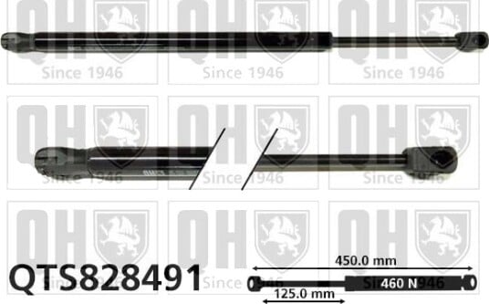 QUINTON HAZELL QTS828491 Baklukedemper