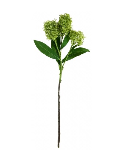 house doctor Artificial Flower, Hdskimmia, Green - Green - ONE SIZE house doctor Artificial Flower, Hdskimmia, Green - Green - ONE SIZE