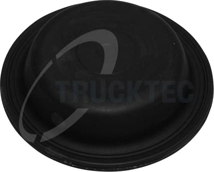 Membran fjærkraftsylinder TRUCKTEC AUTOMOTIVE 98.04.016