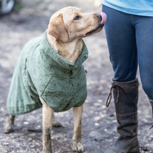 Rukka Medea Eco Badekåpe Til Hund Grønn (Xxs)