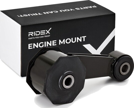 RIDEX 247E1756 Motorfeste