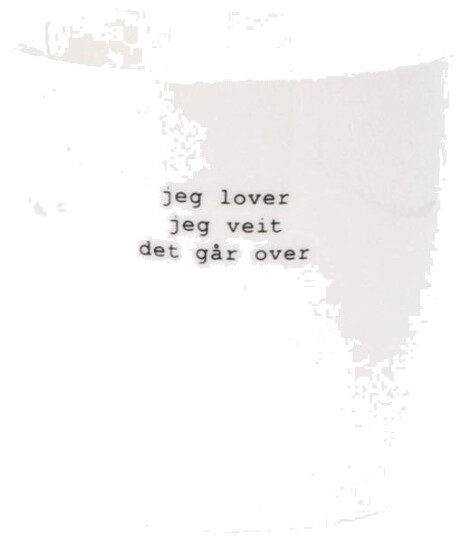 Sögne Home  Trygve Skaug krus jeg lover 30 cl hvit
