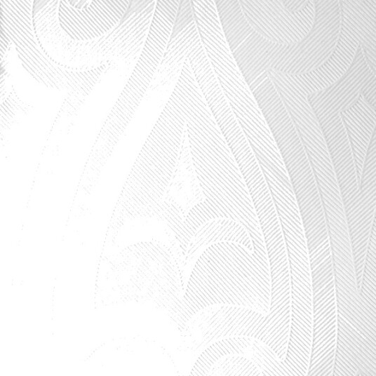Duni Elegance Serviett Størrelse 40 X 40 Cm Avhendbar Hvit En Pakke 40