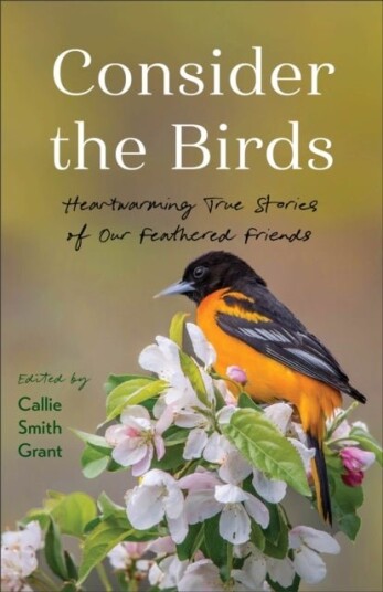 Consider the Birds Consider the Birds