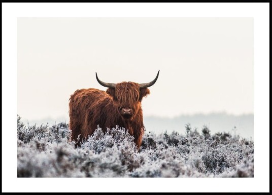 Highlander Poster Plakat / 21x30cm