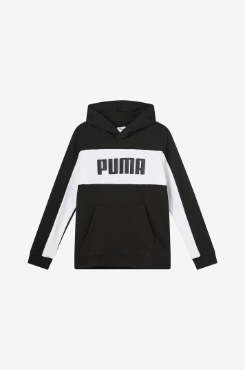 Puma Hettegenser Ess Block Hoodie TR B Svart