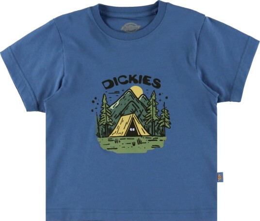 Dickies T skjorte Leirgrafikk Delft Dickies 4 5 år 104 110 T skjorte Blå
