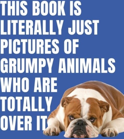 This Book is Literally Just Pictures of Grumpy Animals Who Are Totally Over It
