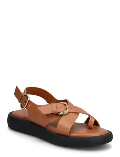 Wonders Horizon 32 Brown 42 Wonders Horizon 32 Brown 42