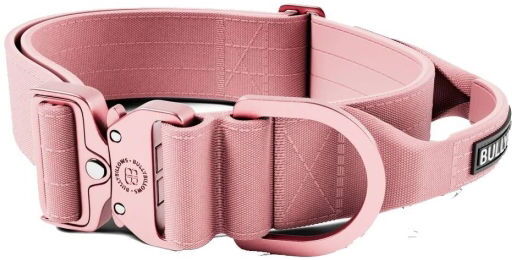 Bullybillows Bullybillow Combat Hundehalsbånd Med Håndtak Rosa 5 cm (L)