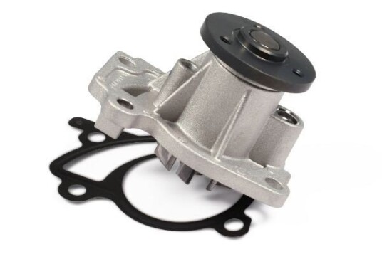 HEPU P967 Vannpumpe