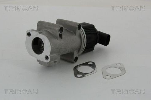 EGR ventil TRISCAN 8813 10005