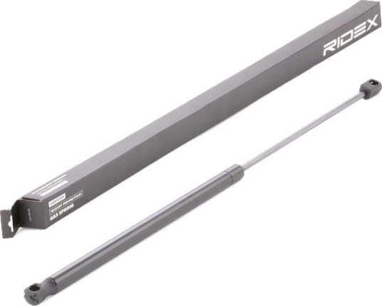 RIDEX 219G0455 Baklukedemper