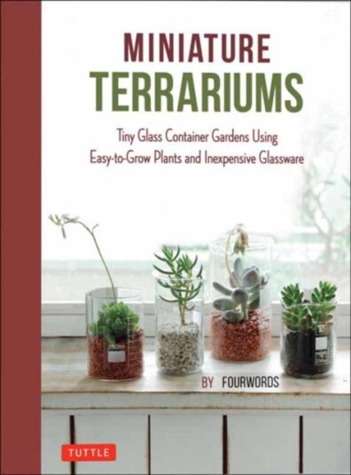 Miniature Terrariums  Tiny Glass Container Gardens Using EasytoGrow Plants and Inexpensive Glassware