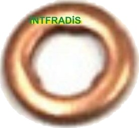 INTFRADIS 10178 Tetningsring, dyseholder INTFRADIS 10178 Tetningsring, dyseholder