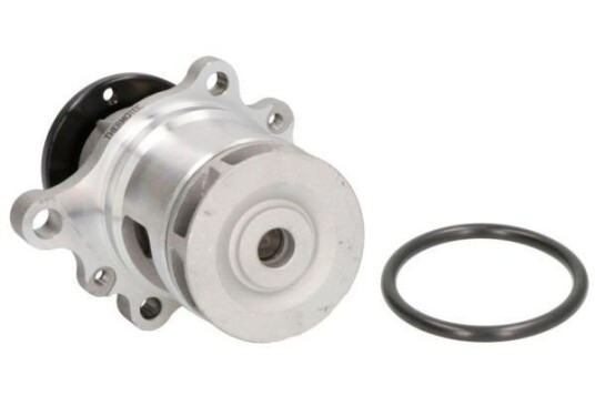 THERMOTEC D1B016TT Vannpumpe THERMOTEC D1B016TT Vannpumpe