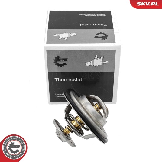 Termostat ESEN SKV 20SKV246 Termostat ESEN SKV 20SKV246