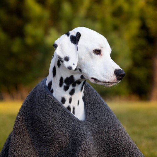 Canelana Ull Hundeponcho 100x100 - Tykk Merinoull for Komfort
