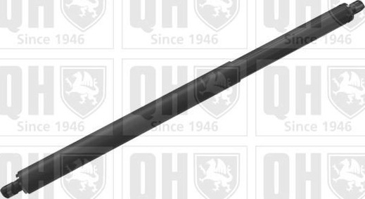 QUINTON HAZELL QTS828669 Baklukedemper