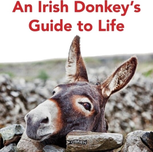 An Irish Donkey’s Guide to Life