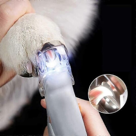 Kloklipper For Hund Og Katt Med Led-Lys Og Forstørrelsesglass
