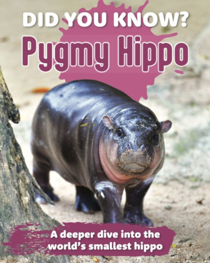 Did You Know? Pygmy Hippo A deeper dive into the world's smallest hippo Did You Know? Pygmy Hippo A deeper dive into the world's smallest hippo