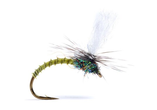 Umpqua Flies Klink Lt. Olive Biot