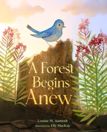A Forest Begins Anew A Forest Begins Anew