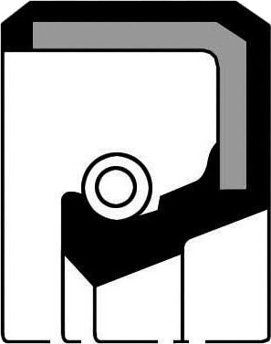 Simring veivaksel PAYEN NA784