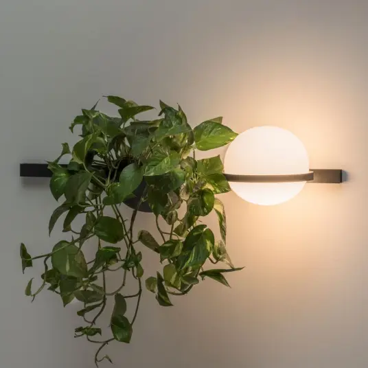 Vibia Palma 3702 vegglampe plantekule grafitt