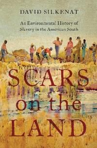 Scars On The Land Av David (Senior Lecturer In American History Senior Lecturer In American History University Of Edinburgh) Silkenat