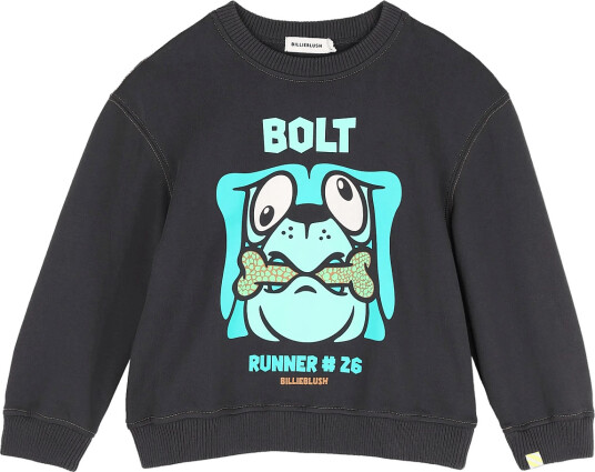 Billieblush Sweatshirt Grey 104