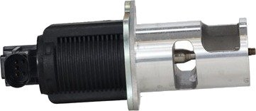 EGR-ventil RENAULT 8200656008