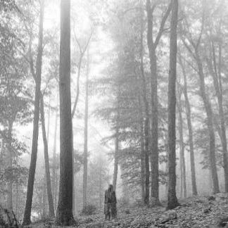 Taylor Swift Folklore Taylor Swift Folklore