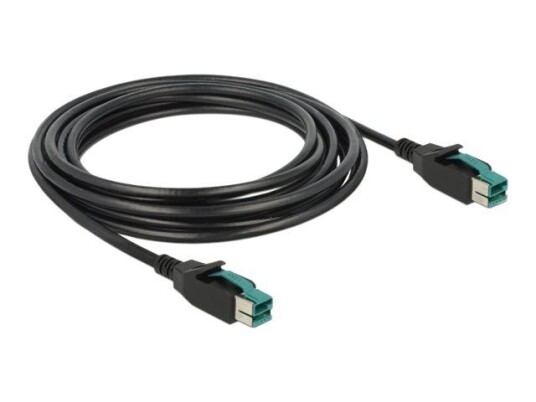 Delock Strømforsynt USB-kabel - USB PlusPower (12 V) til USB PlusPower (12 V) - 4 m