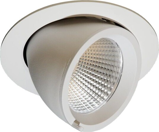 Elbow 140 Downlight  45° Tilt  Inklusive Dimbar